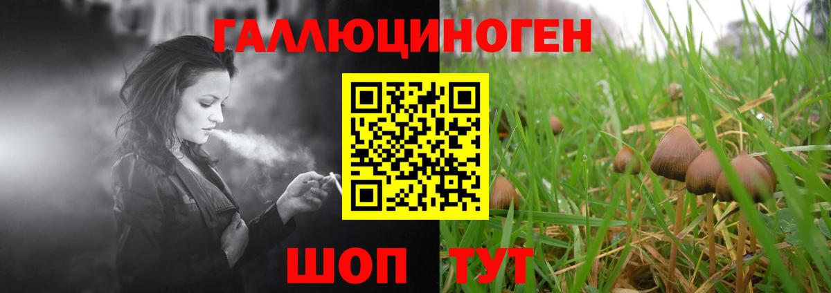 Псилоцибиновые грибы GOLDEN TEACHER  Галлюциногенные грибы GOLDEN TEACHER  Сальск  Вход с VPN 